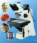 大平台金相显微镜（WSM-700）