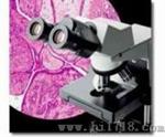 生物显微镜 （CX31）