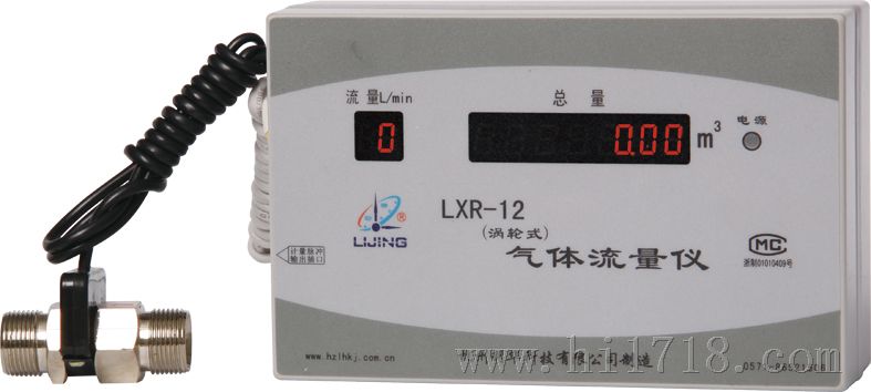 气体流量仪（LXR-12型）