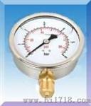 耐震压力表（YN-50/60/100/150）