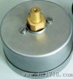 不锈钢腐压力表