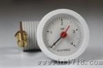 江苏苏州毛细管蒸汽压力表（RFK 40 ）