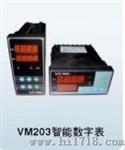 VM203智能数字表
