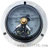 不锈钢耐振压力表（Y-100H）