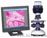光学显微及成像设备（TS2009）