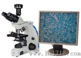 数码照相生物显微镜