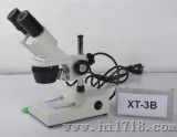 体视显微镜（XT-3B）