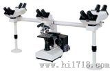 多人观察显微镜 （XSZ-510）