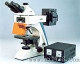 荧光显微镜 （BK-FL）