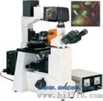 数码型倒置荧光显微镜 （M50D）