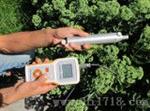 空气温湿度记录仪SY-HWS