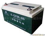 供应6-GFM-65太阳能铅酸蓄电池