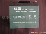 供应阀控密封电动车电池