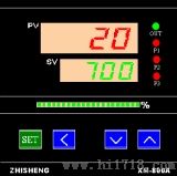 智能双路位式调节仪（温湿度控制仪）／XM-801T