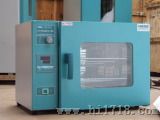 电热恒温干燥箱（DHG-9016A）
