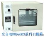 全自动干燥箱 (DHG-9013C)