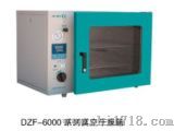 真空干燥箱（DZF6050）