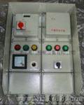 爆型控制箱(DKX-GB-10A)