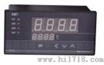 XMTS8000温控仪