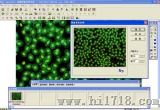 显微镜图像处理软件（RJ-XWJ-SIP）