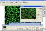 显微镜图像处理软件（RJ-XWJ-SIP）