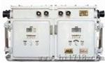 双电源真空电磁起动器（QJZ-2×100/1140（660）SF）