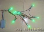 LED单绿穿孔字灯串