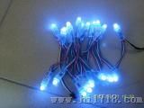 LED单兰穿孔字灯串