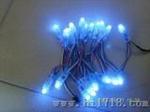 LED单兰穿孔字灯串