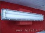 爆腐全塑荧光灯（BYS系列）