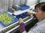白色英规充电器5V2A适配器10W电压5V 6v 7V 8V 12v