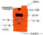 可移动手持二检测仪RBBJ