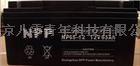 耐普蓄电池总代理-耐普NP12-100蓄电池