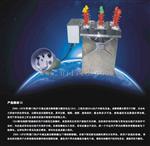 HZW32-12高压双电源自动切换开关贵州六盘水供应真空断路器