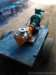 泊头高粘度转子泵厂家-NYP-30/1.0型高粘度转子泵报价