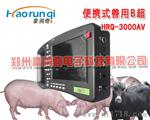 山东滨州猪用多少钱