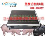 山东滨州猪用多少钱