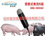 山东滨州猪用多少钱