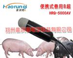 掌上彩色猪用价格