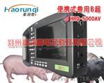 掌上彩色猪用价格
