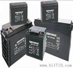 大力蓄电池12v100ah