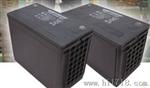 大力蓄电池12v100ah