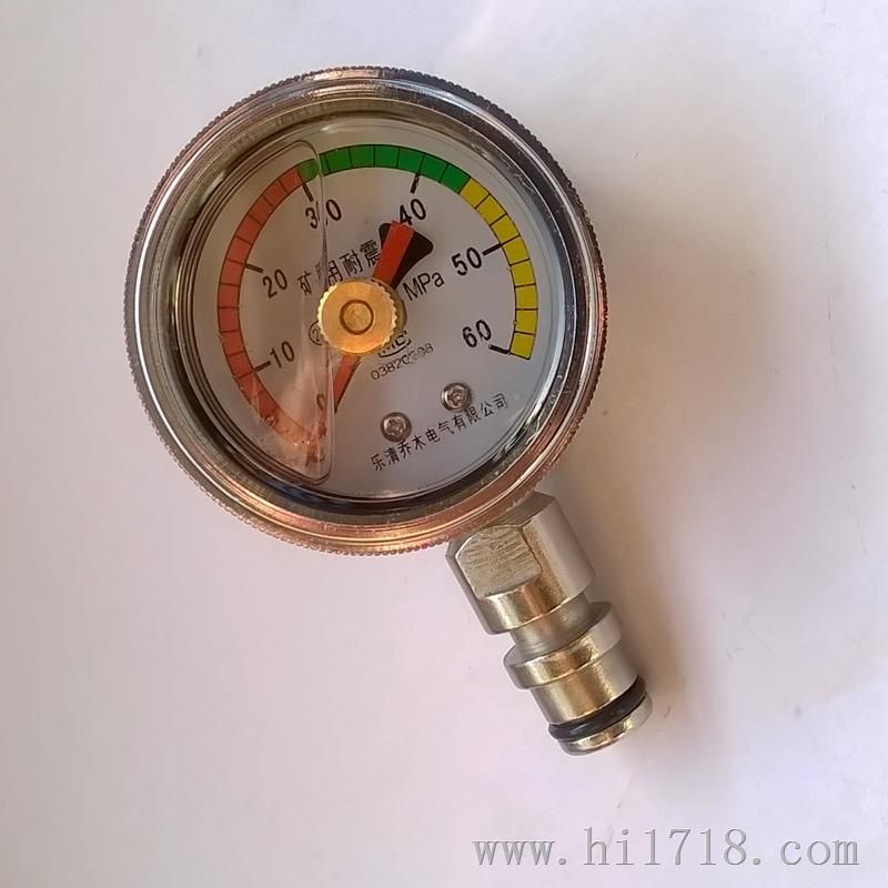 矿用双针耐震压力表/BZY-60