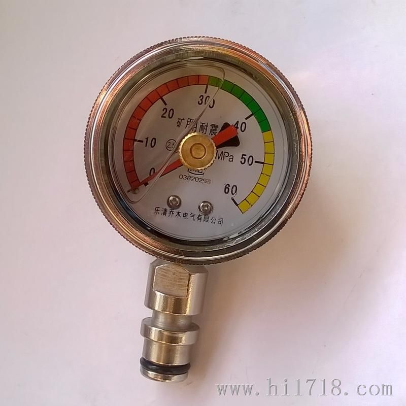 矿用双针耐震压力表/BZY-60