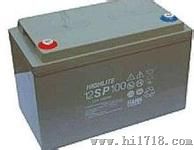 12SP205意大利蓄电池（