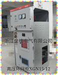 供应金格HXGN15-10高压环网柜 