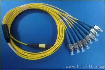 提供MPO混合型光缆跳线
