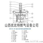 优比意大利贵龙giuliani anello朱利安尼FSDR65/CE,FGDR65调减稳压器阀