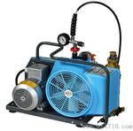 德亚Junior II压缩空气充气泵/充气机