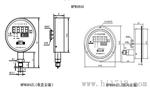 数字化压力变送控制器MPM484ZL智能压力变送器MPM484A/MPM484ZL技术文献